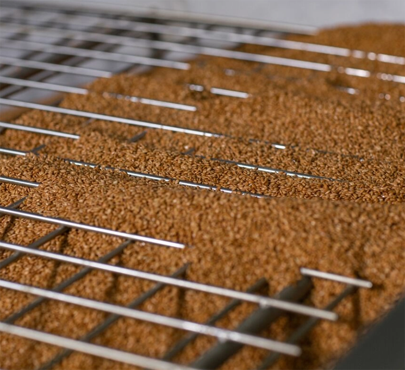 Flax