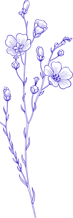 Flax