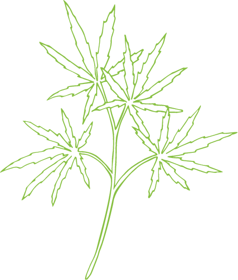 Flax